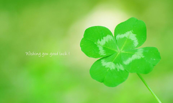 小兄妹吃完后起身,有礼貌的点头道谢后,带着满足地笑脸离开了,心中也